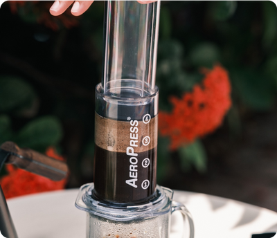 AeroPress Clear being used near flowers
