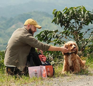 Man with a dog in a coffee plantation with coffee bags and plants around