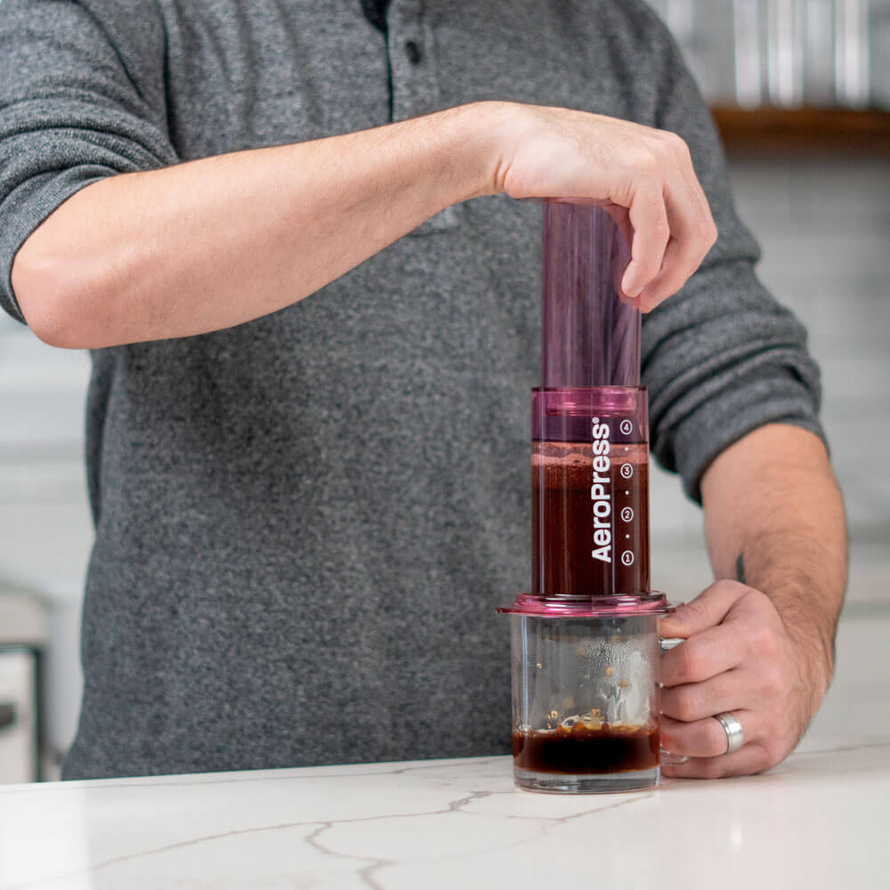 How to Make Your Coffee Shop Favourites With The AeroPress - Perfect Daily  Grind