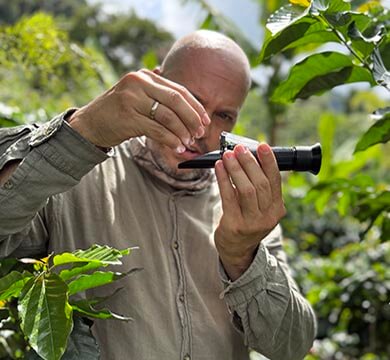 Person using a small device in a coffee farm setting