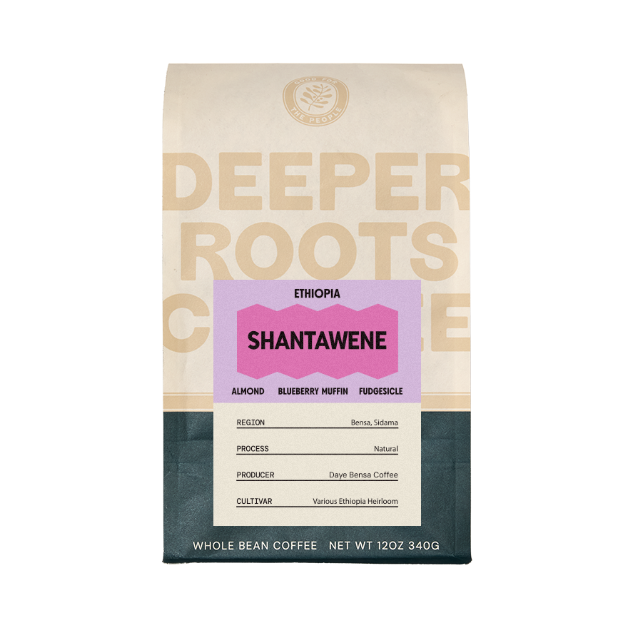 Ethiopia Shantawene 12 oz