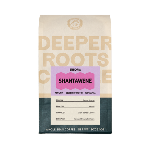 Ethiopia Shantawene 12 oz