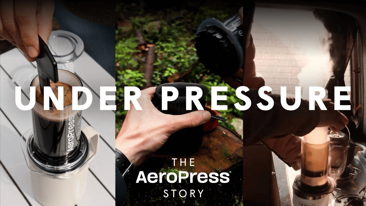 Celebrating 20 Years