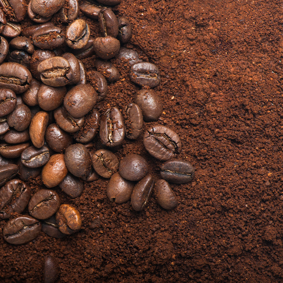 Coffee beans next to ground coffee