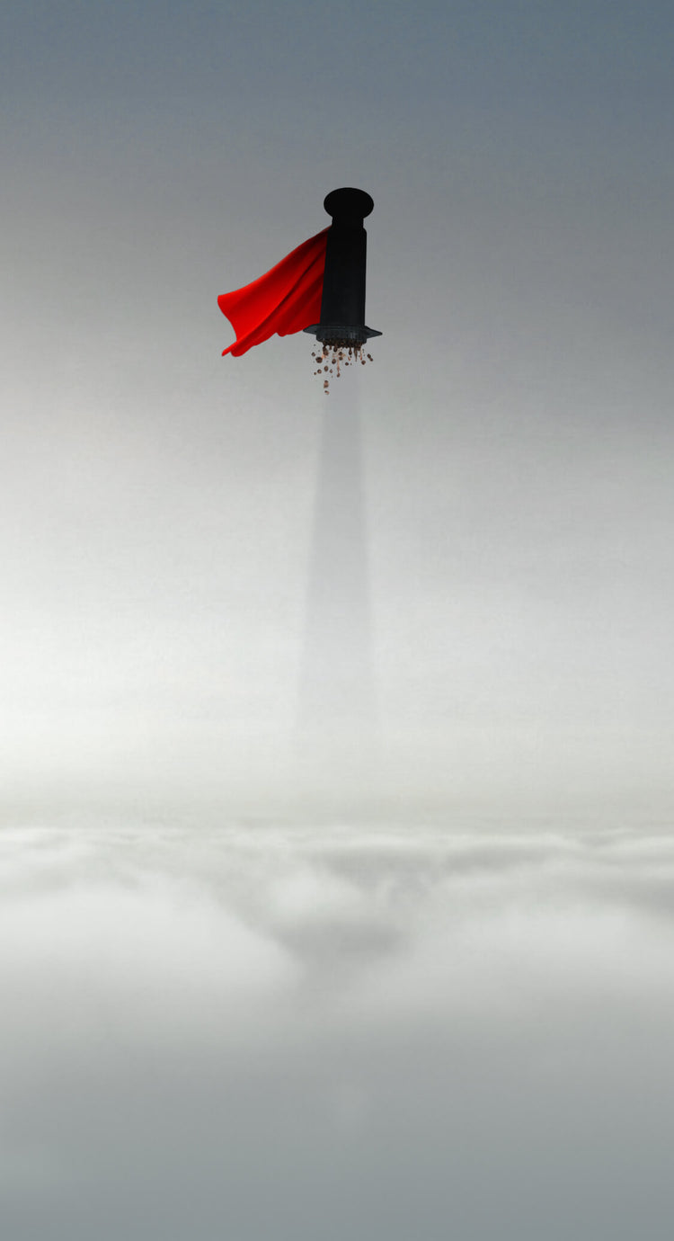 IT'S A BIRD, IT'S A PLANE... IT'S A