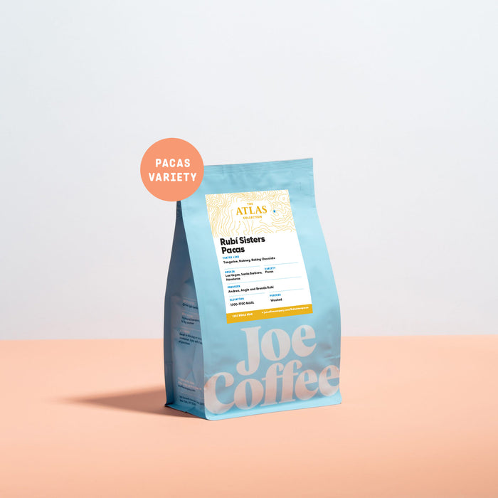 Beautiful view of Whole Bean Coffee For Aeropress Spicy Notes