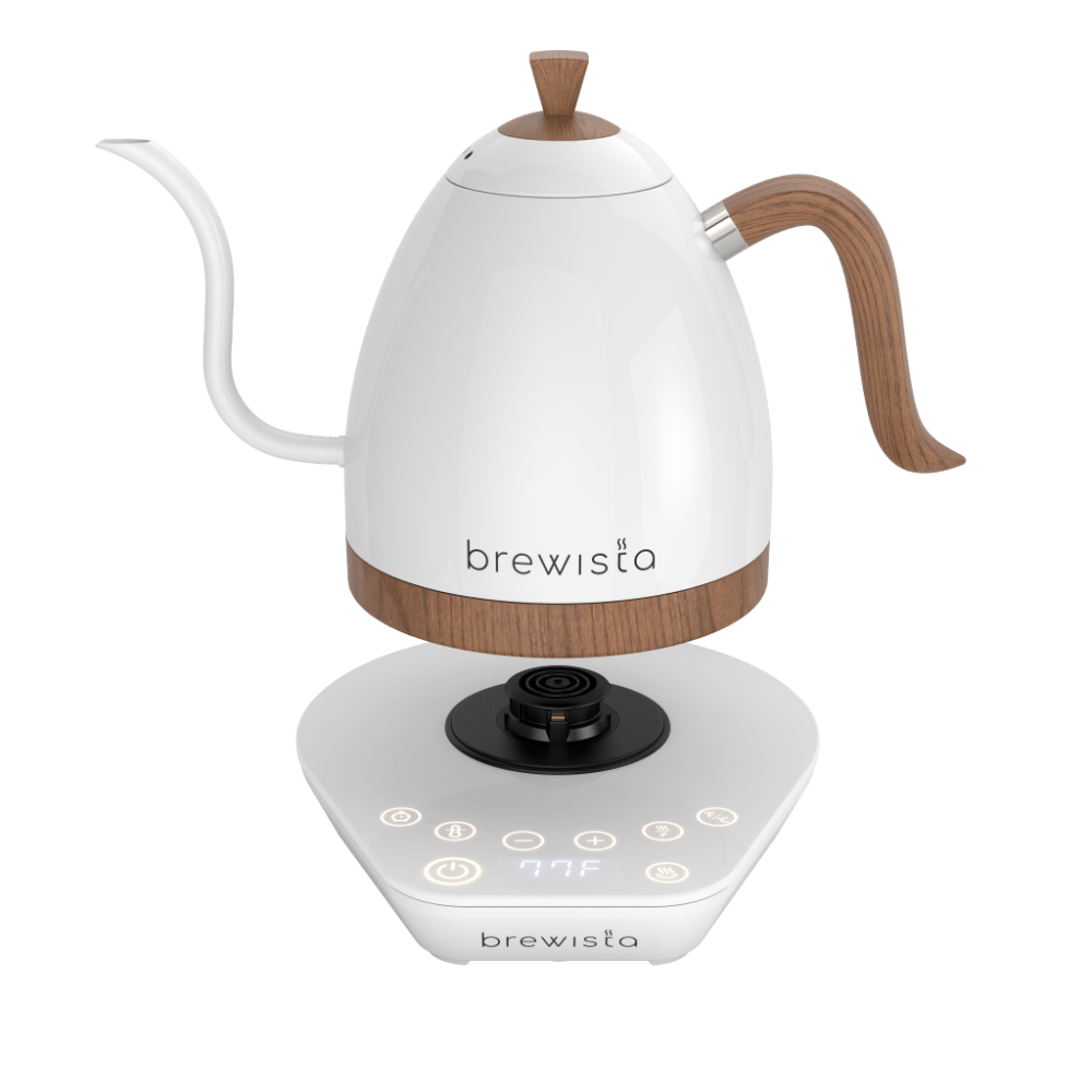 Brewista Artisan Electric Gooseneck Kettle