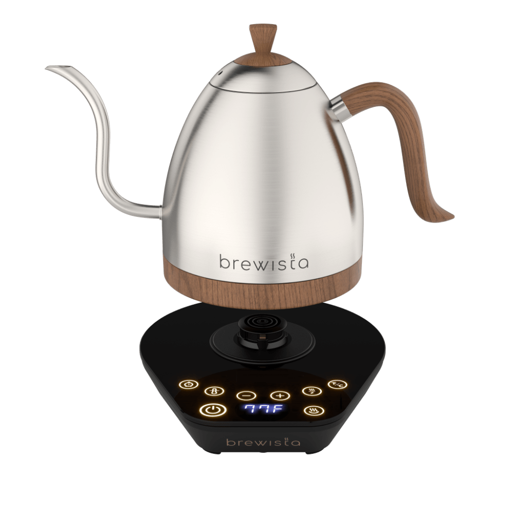 Brewista Artisan Electric Gooseneck Kettle