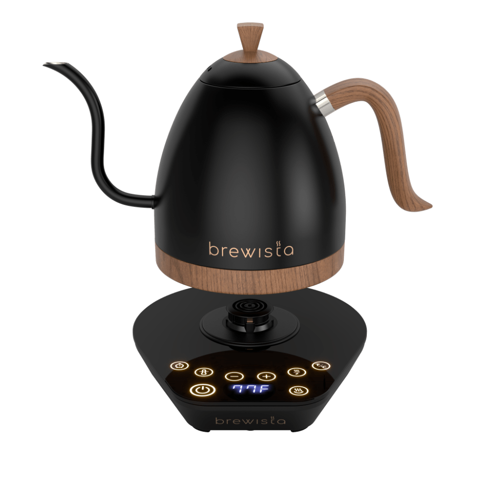 Brewista Artisan Electric Gooseneck Kettle