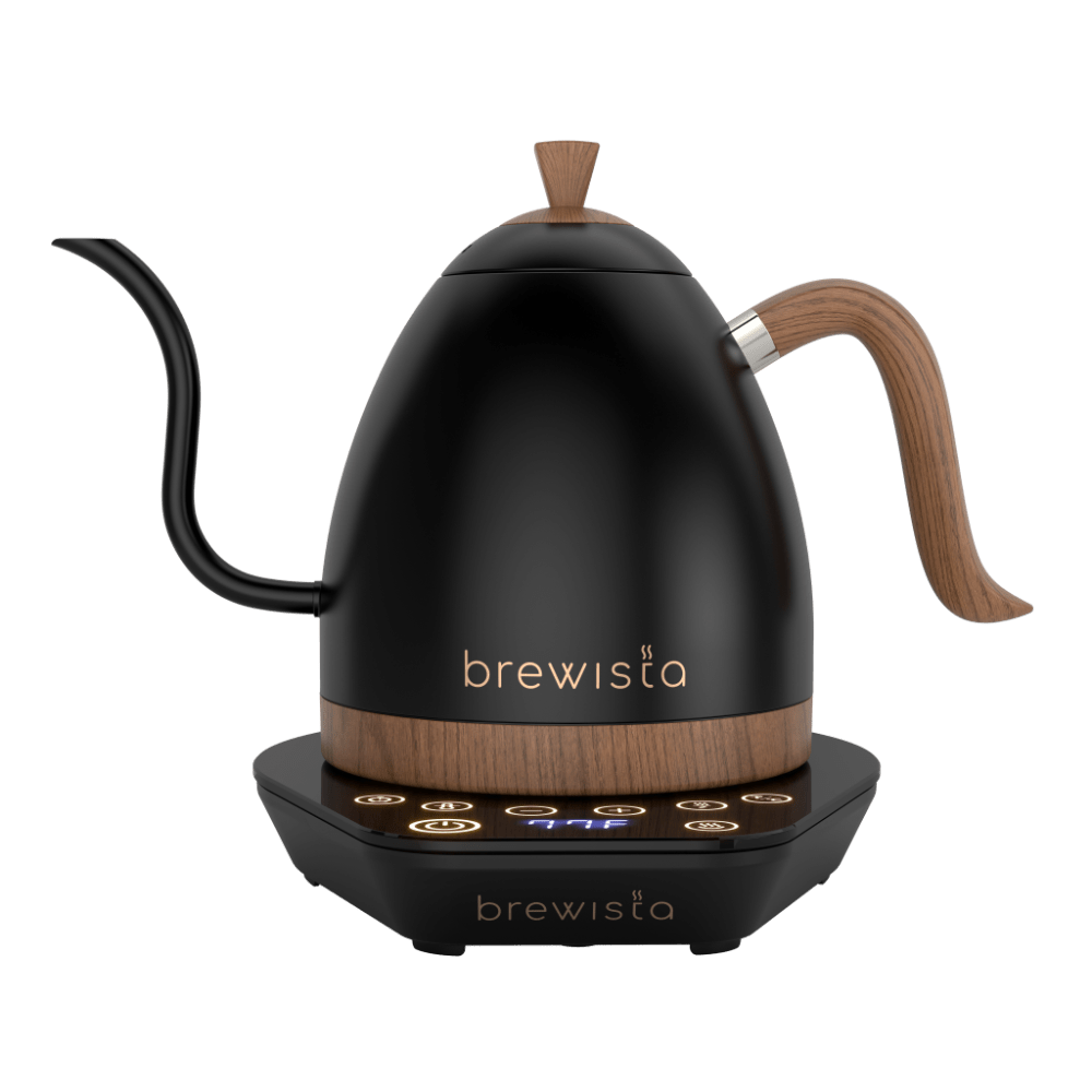 Brewista Artisan Electric Gooseneck Kettle