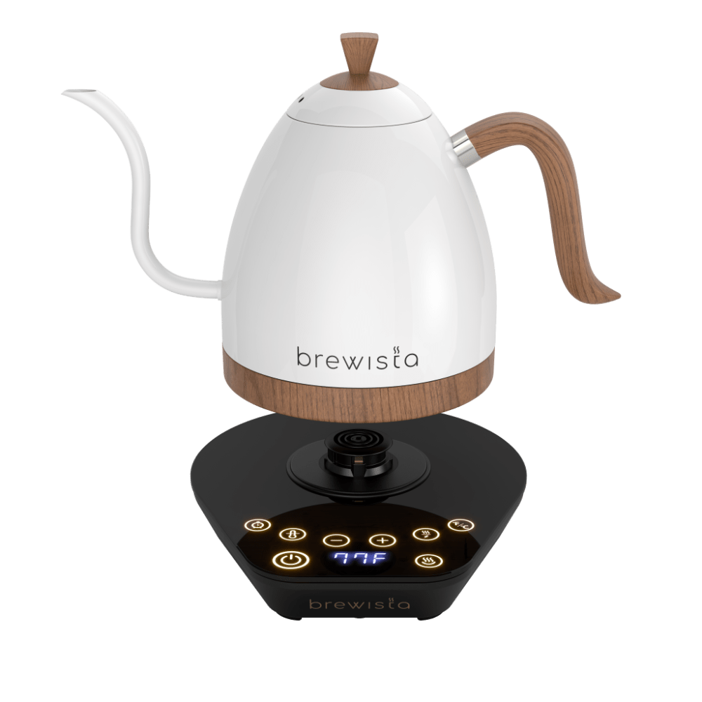 Brewista Artisan Electric Gooseneck Kettle