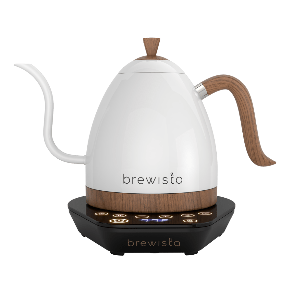 Brewista Artisan Electric Gooseneck Kettle