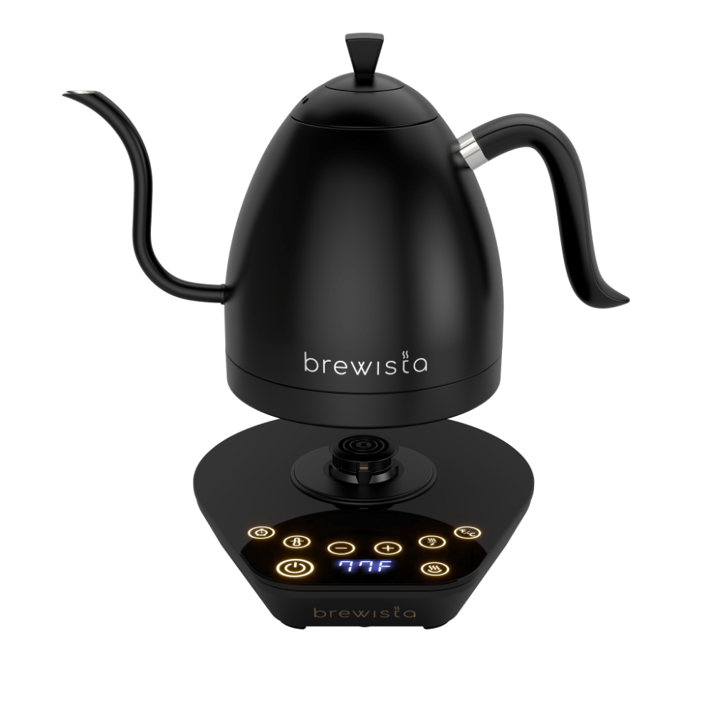 Brewista Artisan Electric Gooseneck Kettle