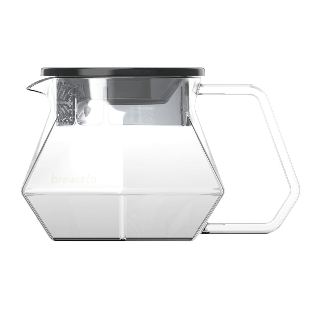 https://aeropress.com/cdn/shop/products/BrewistaXSeriesServerside1clear_1000x.png?v=1649088618